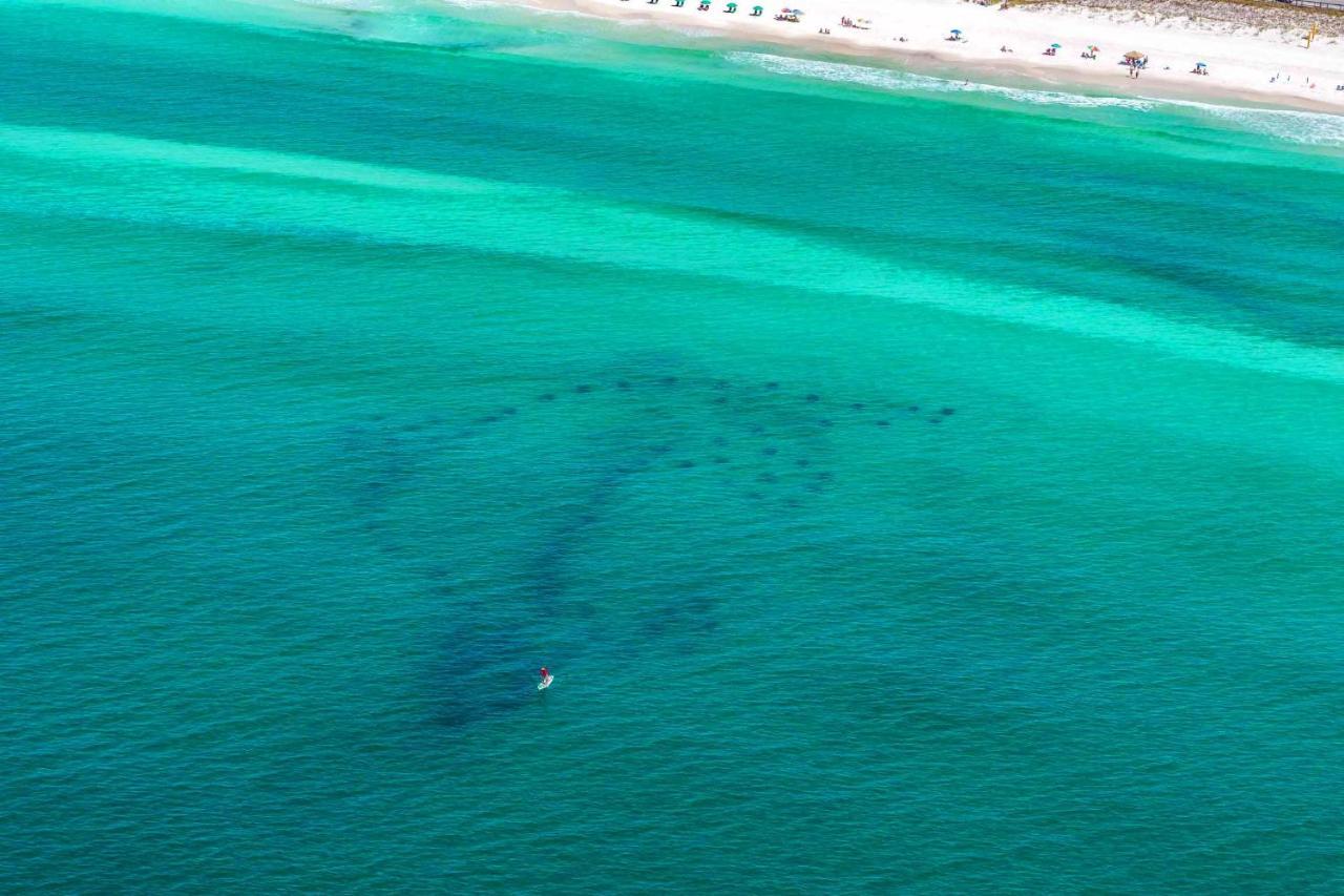 Caribbean Dunes 121 Destin Exteriér fotografie